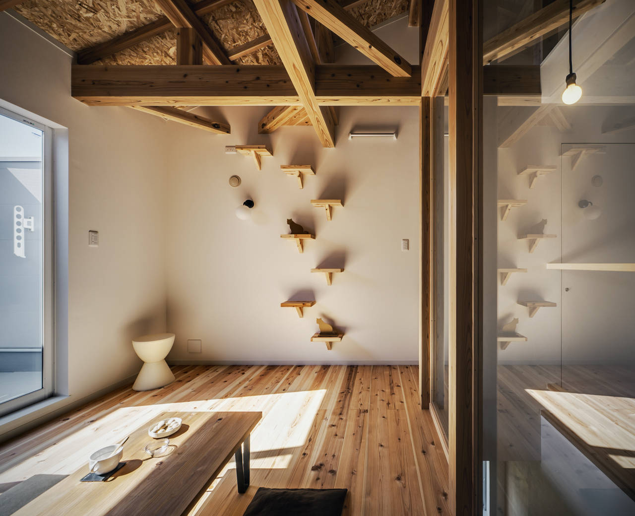 Мир дизайна: 10 счастливых питомцев и их места обитания в доме