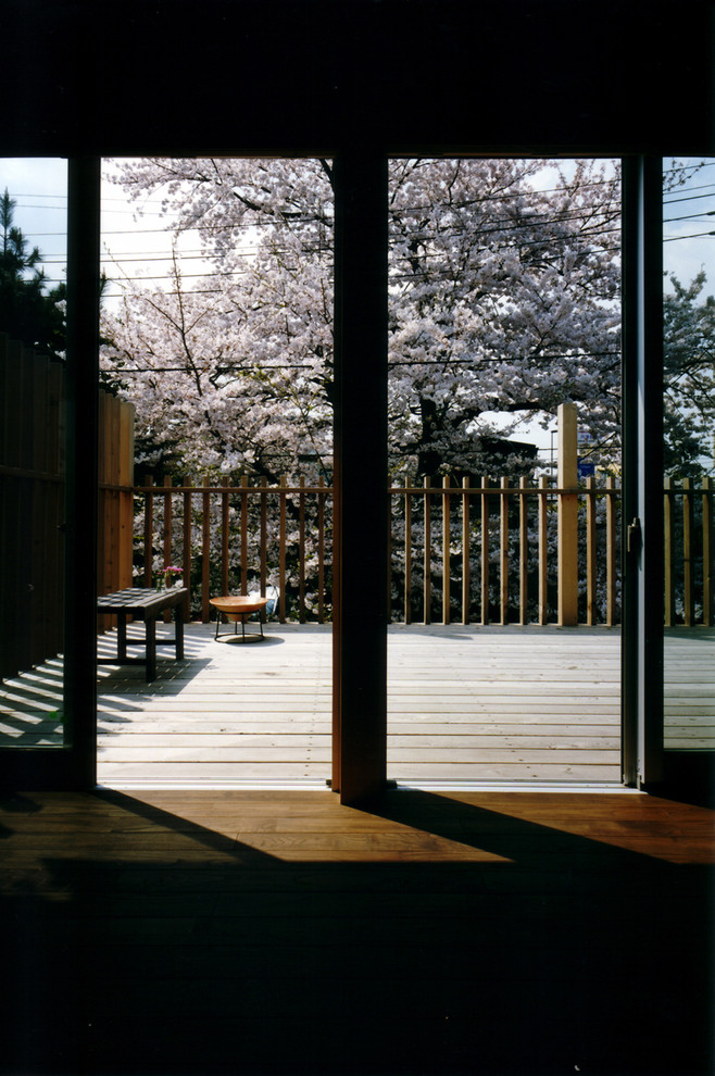 Вопрос: Какой сакурой на самом деле любуются в Японии