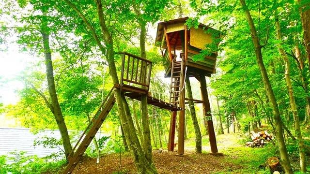 Мир дизайна: 10 домов на деревьях — на радость детям и взрослым